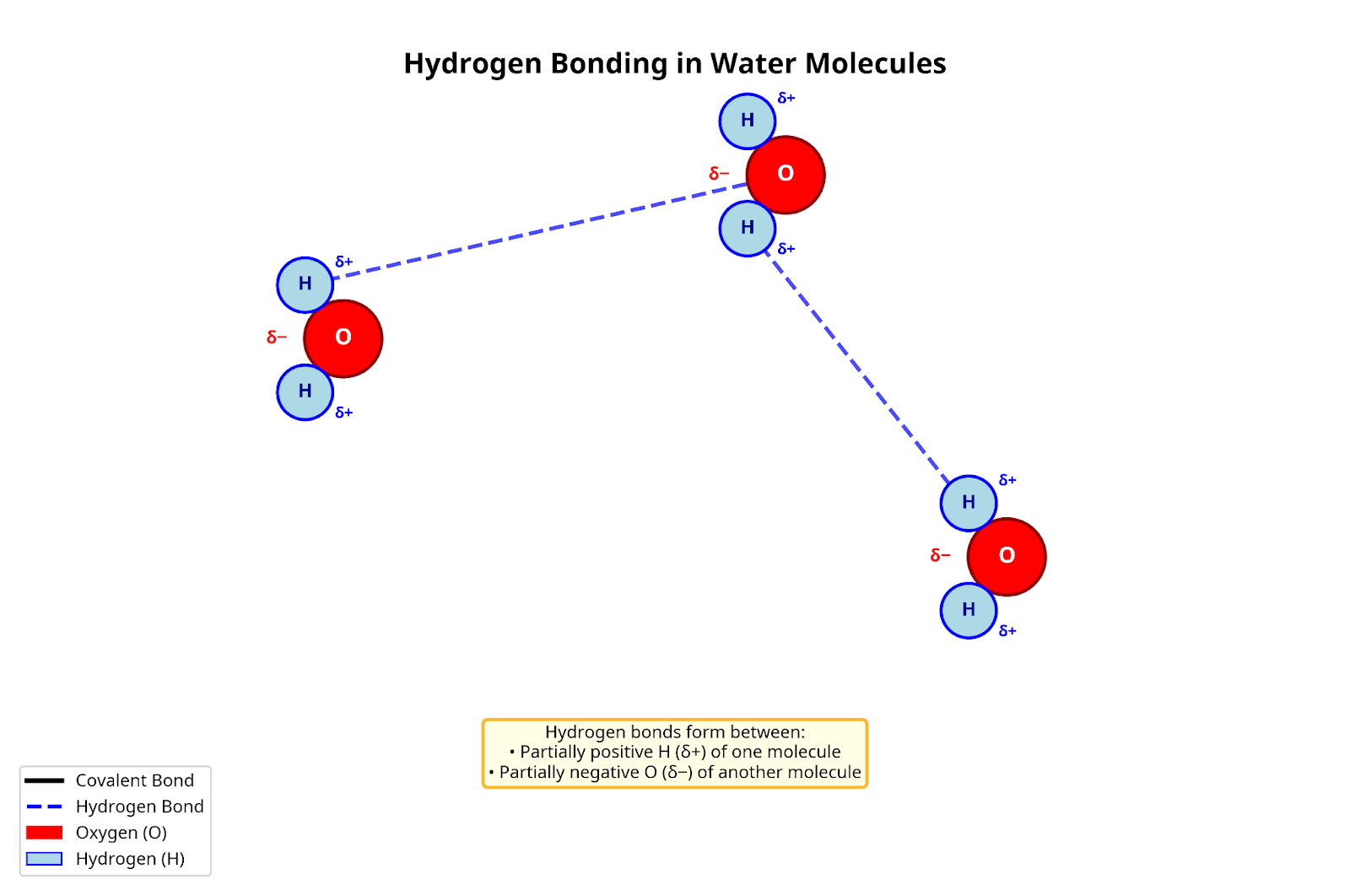 Hydrogen bonding in water molecules